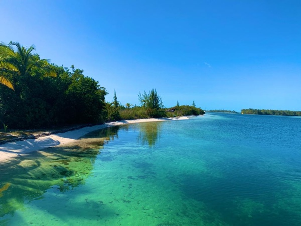 d4545c61-966c-4464-b552-8c039b9da7f2